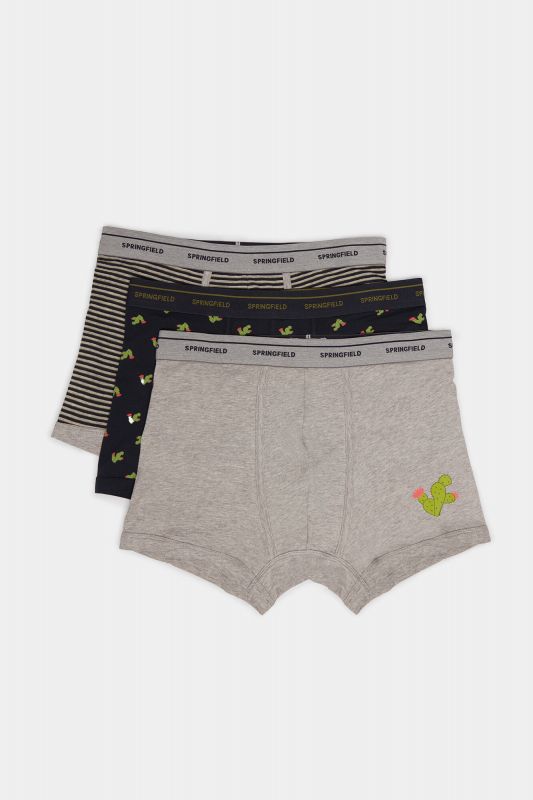 3-pack of cactus boxers
