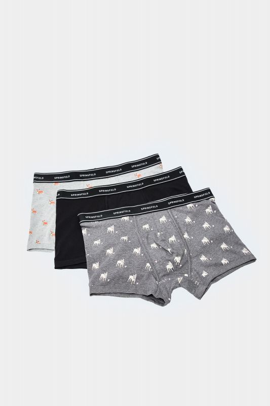 Boxer