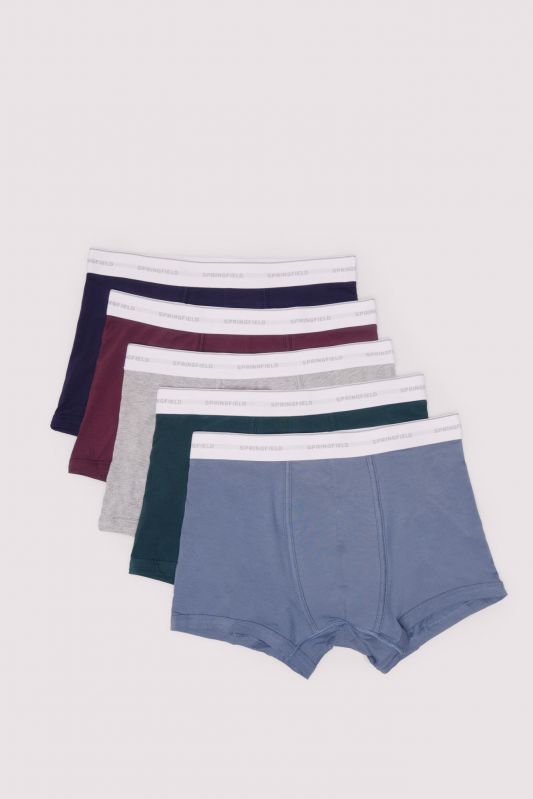 Boxerid 5tk pakis