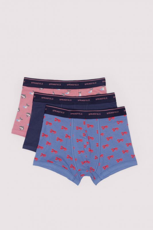 Boxerid 3tk pakis