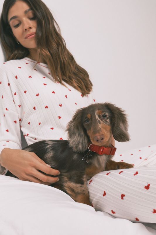 Lemmiklooma kaelarätt