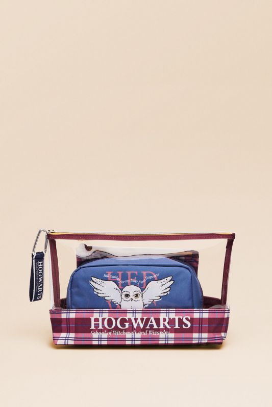Hügeenitarvete kott Harry Potter